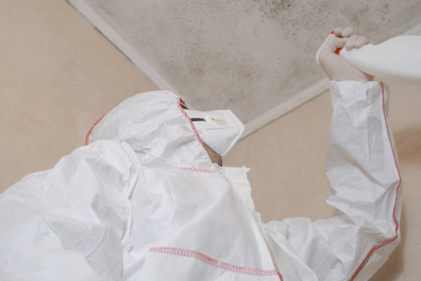 Best Mold Cleaning Services  in Middletown, NY